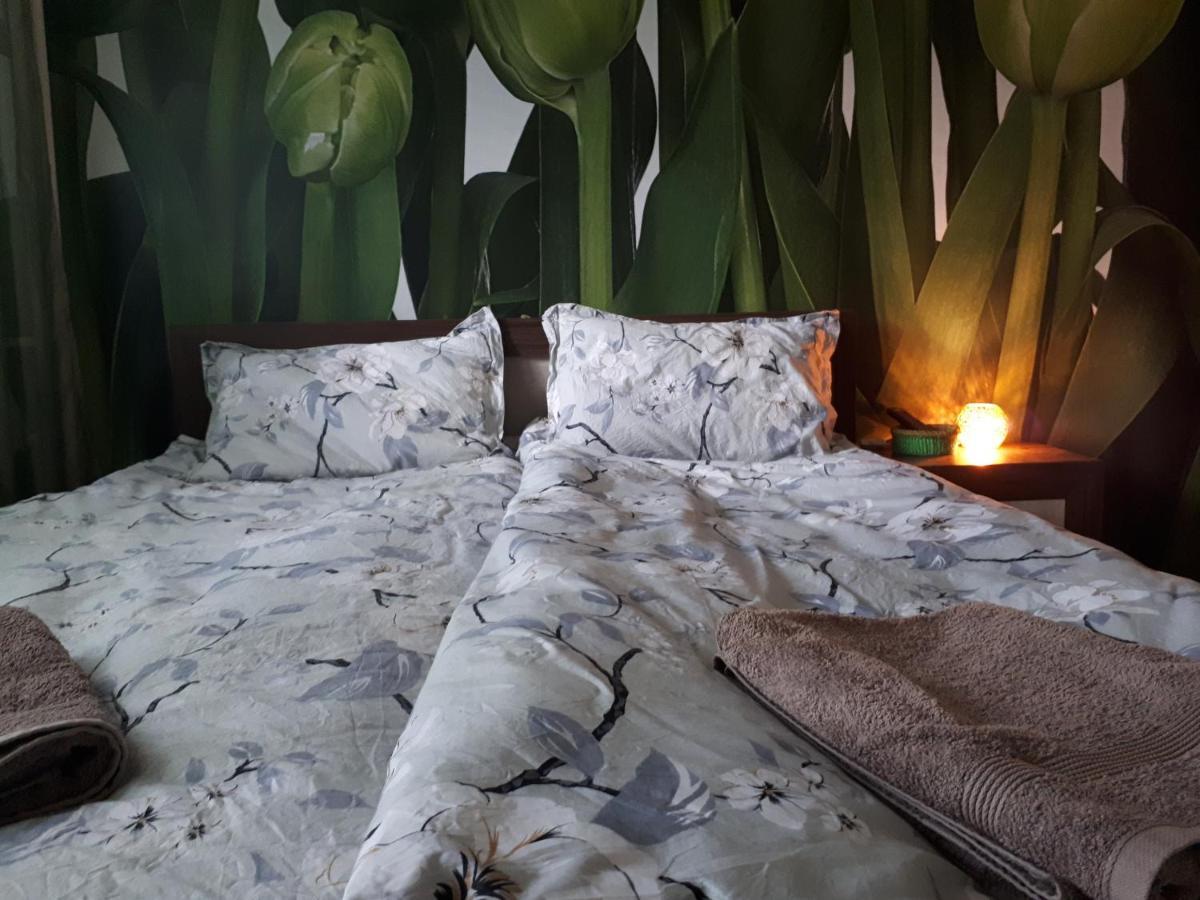 Tulips - Guest Room Close To The Airport, Free Street Parking Sofia Exterior photo